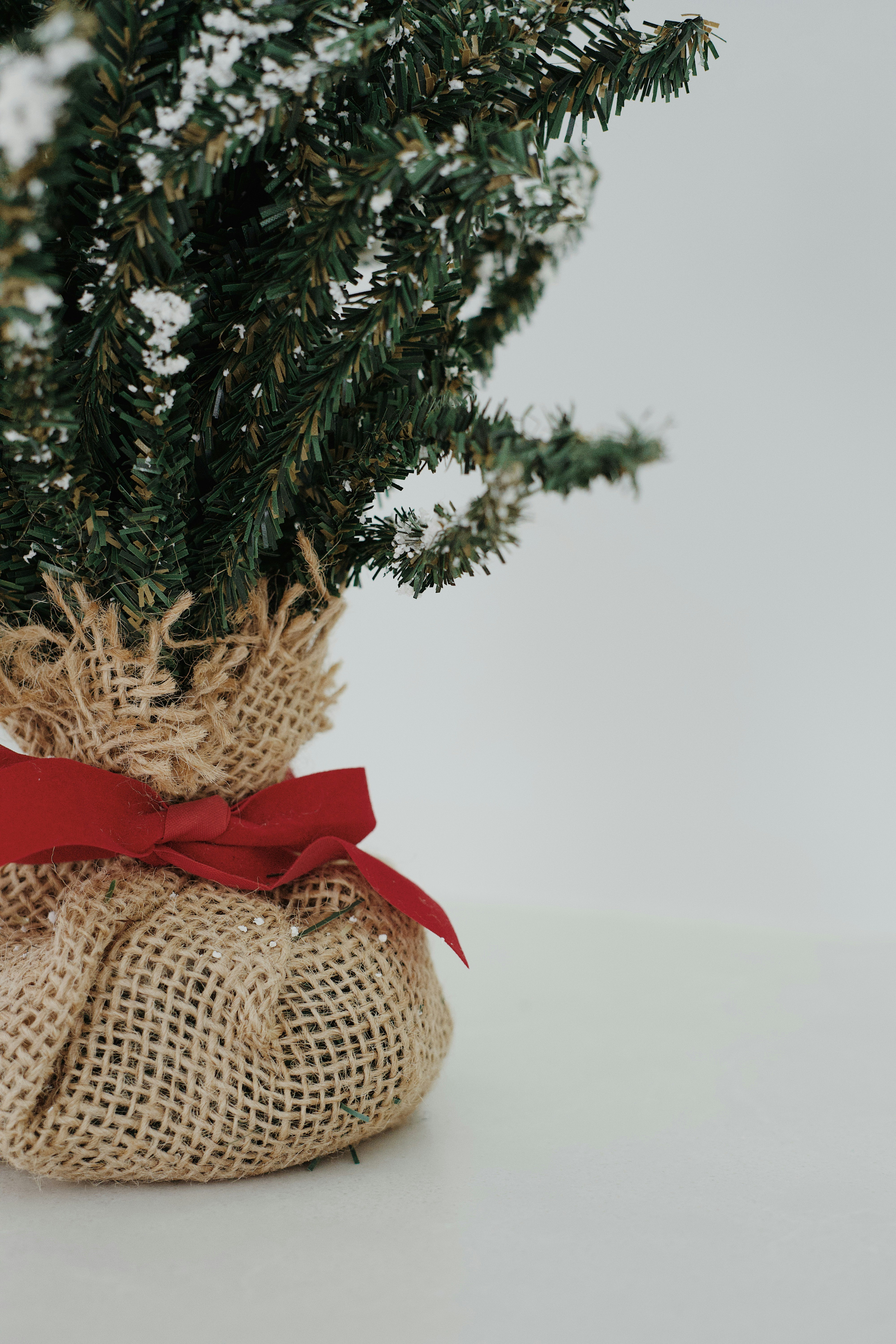 green christmas tree with red ribbon